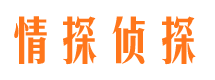 舞钢市婚外情调查